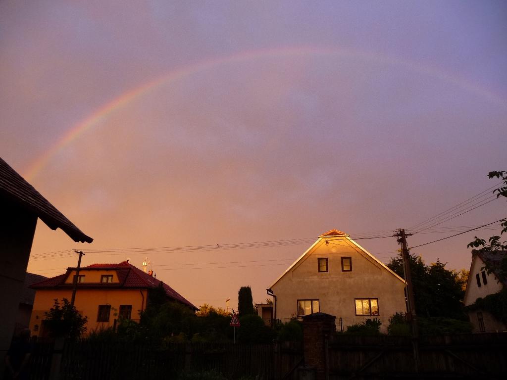 Třibřichy